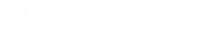 SERVICIOS TELECOMUNICACIONES CNE IP SPA